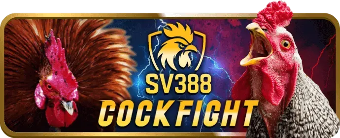 Cấp độ VIP Đồng của dola777